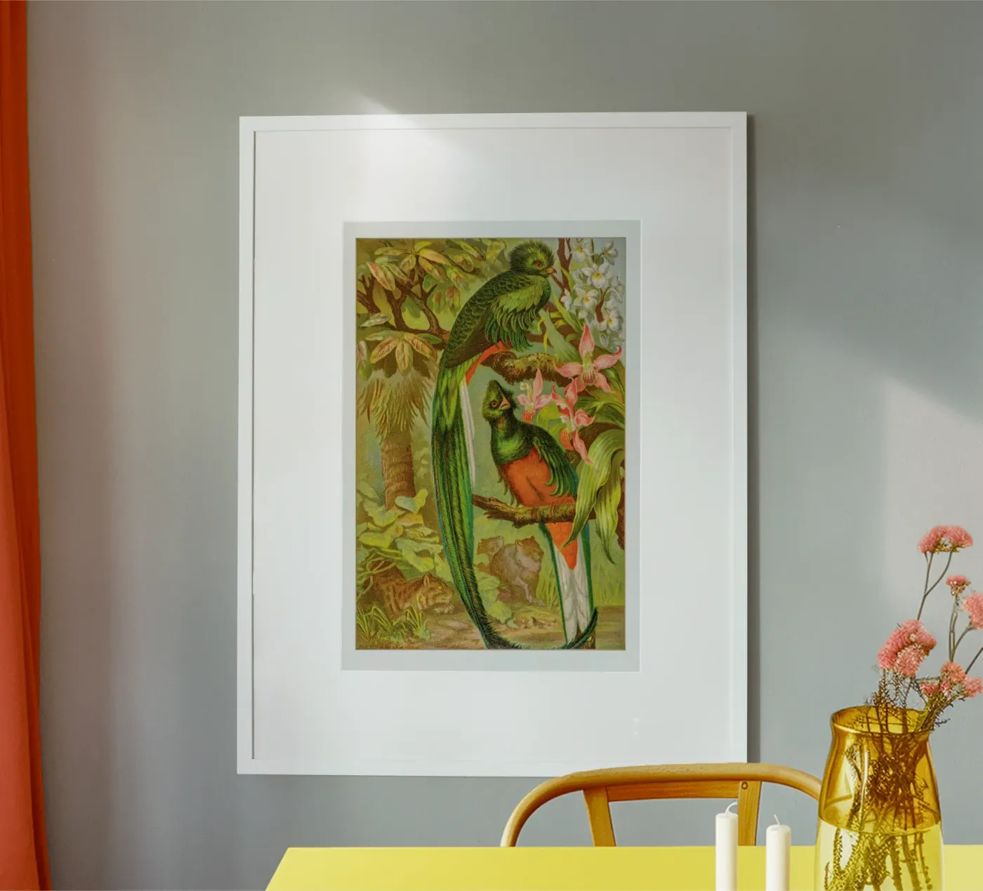 Native Birds poster da Flora & Fauna