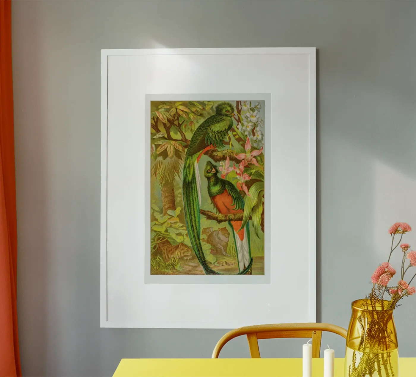 Native Birds poster van Flora & Fauna
