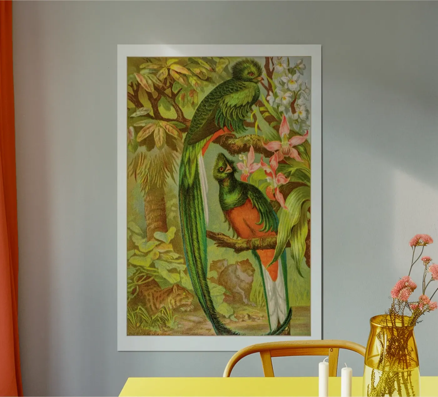 Native Birds poster van Flora & Fauna