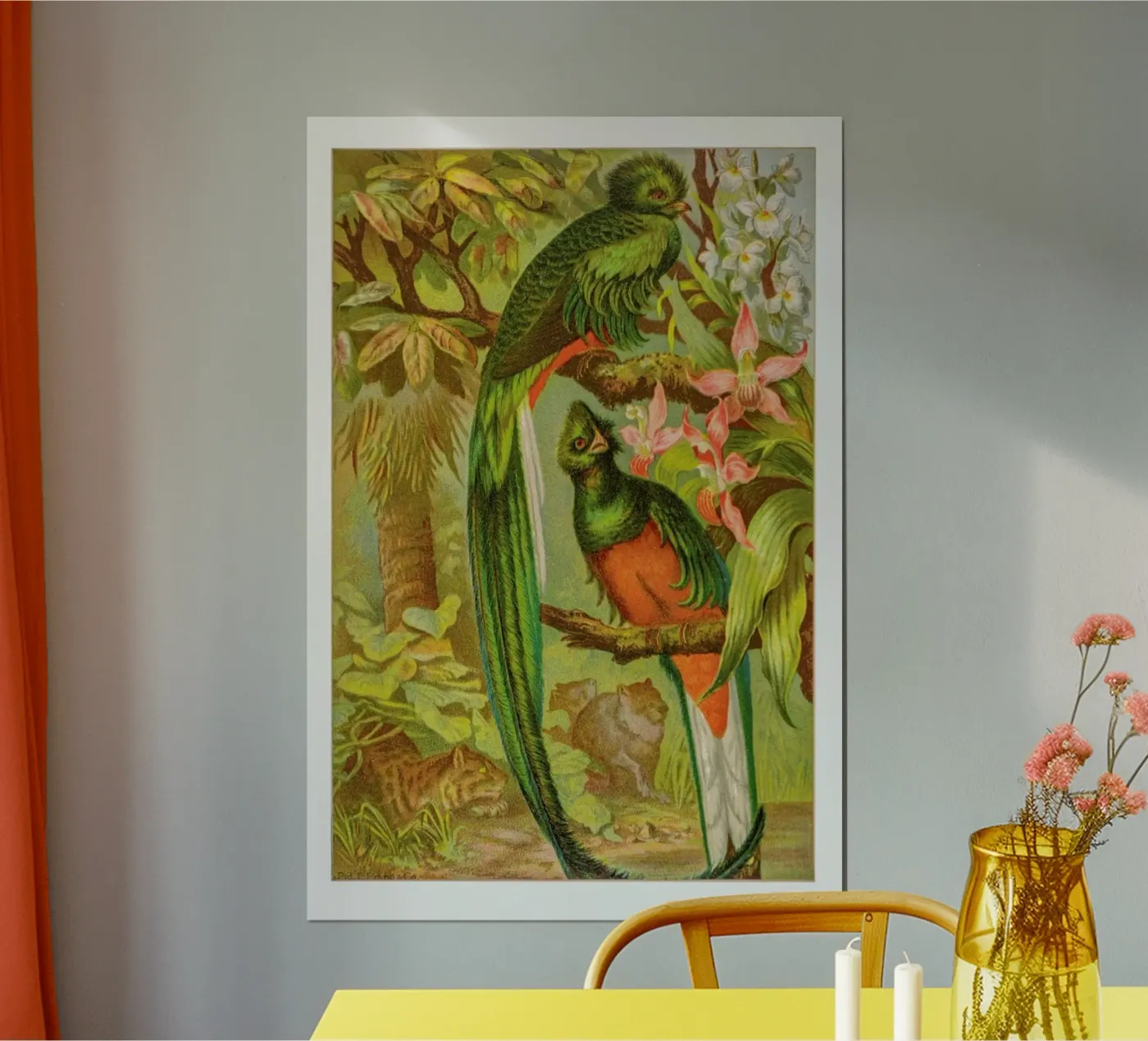 Native Birds poster da Flora & Fauna