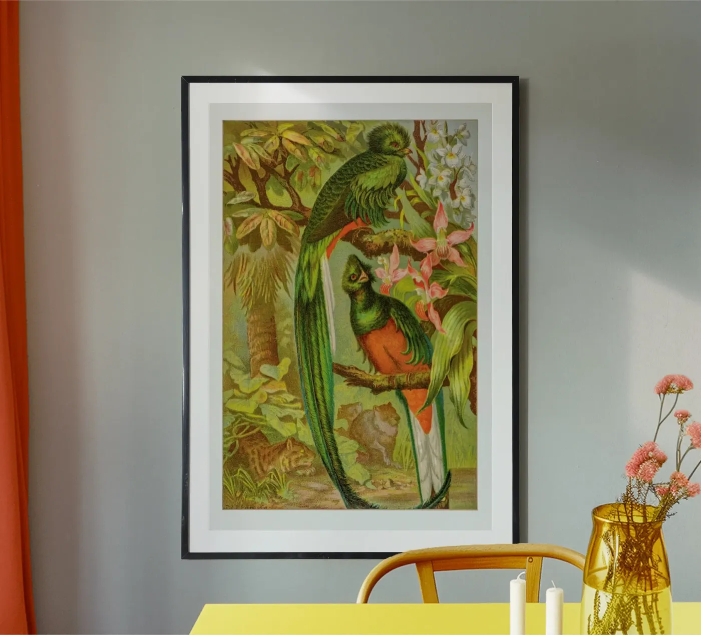 Native Birds poster van Flora & Fauna