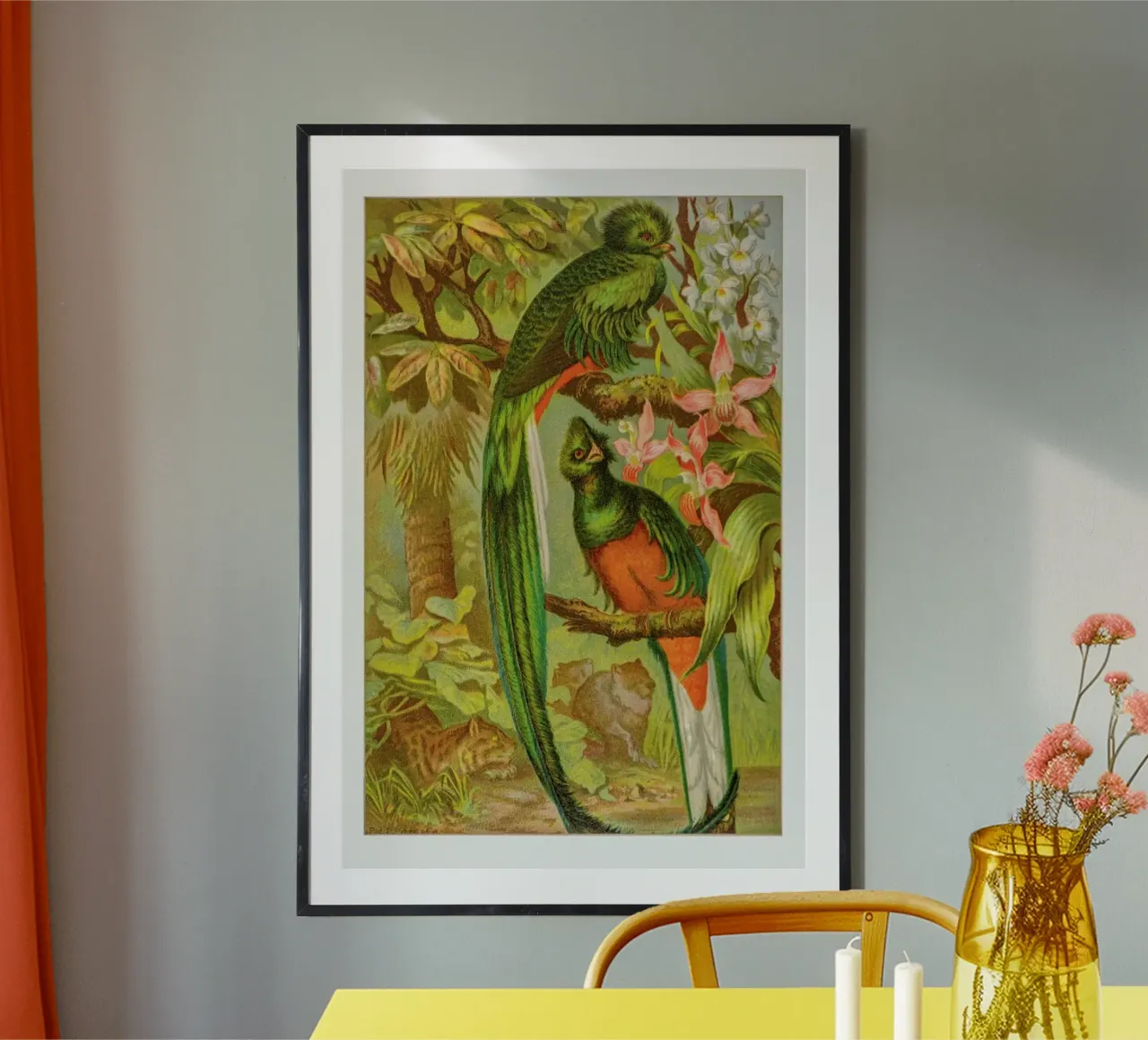 Native Birds poster da Flora & Fauna