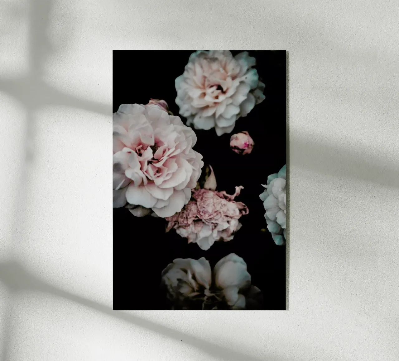 Crisp Pink plexiglass da Victoria Frost