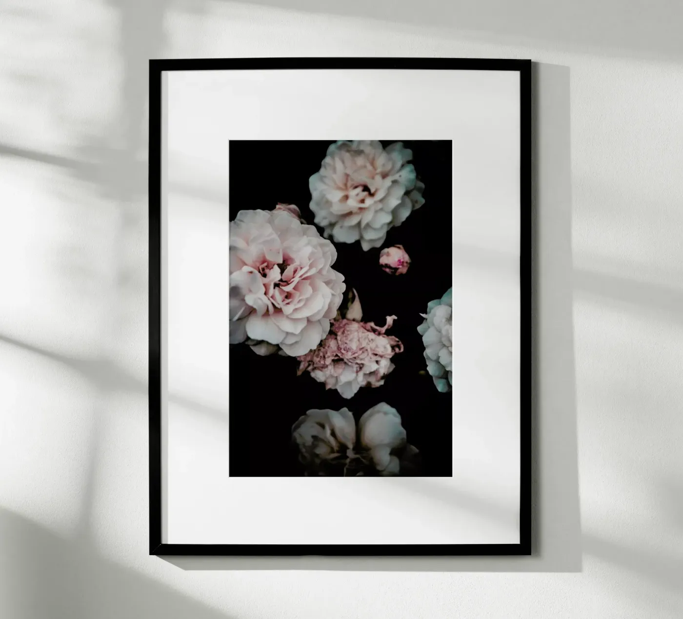 Crisp Pink poster da Victoria Frost