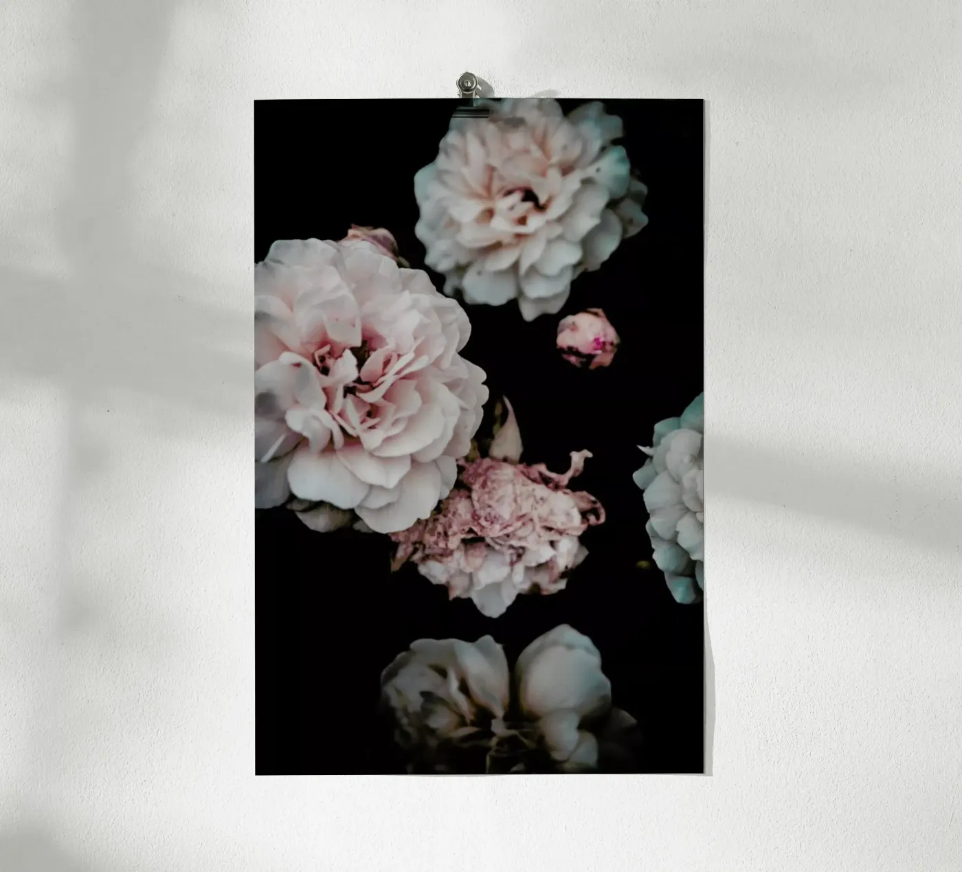 Crisp Pink poster da Victoria Frost