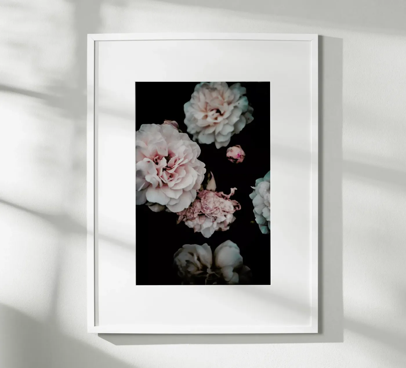 Crisp Pink poster da Victoria Frost