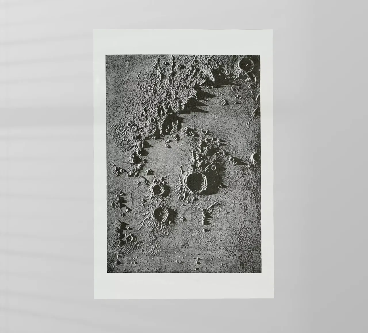 Moon Crater II pellicola backlit da Flora & Fauna