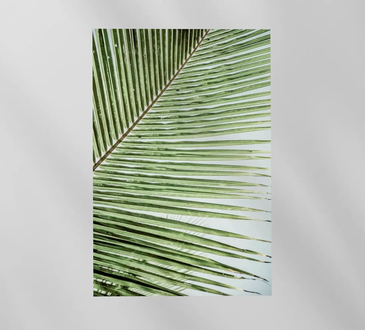 Zig Zag pellicola backlit da Shot By Clint