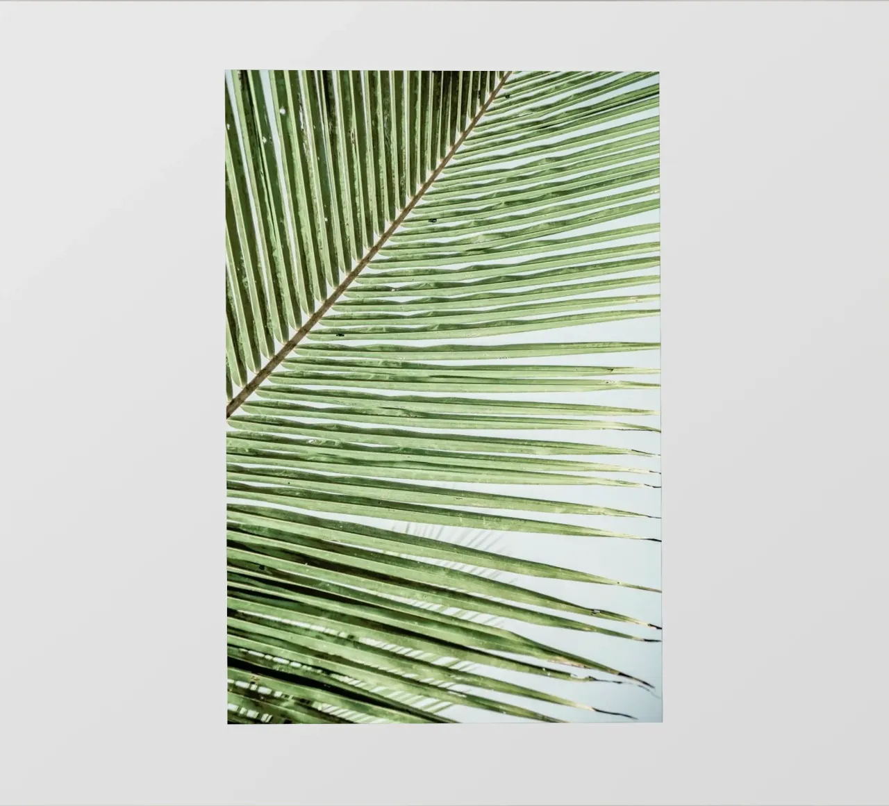 Zig Zag pellicola backlit da Shot By Clint