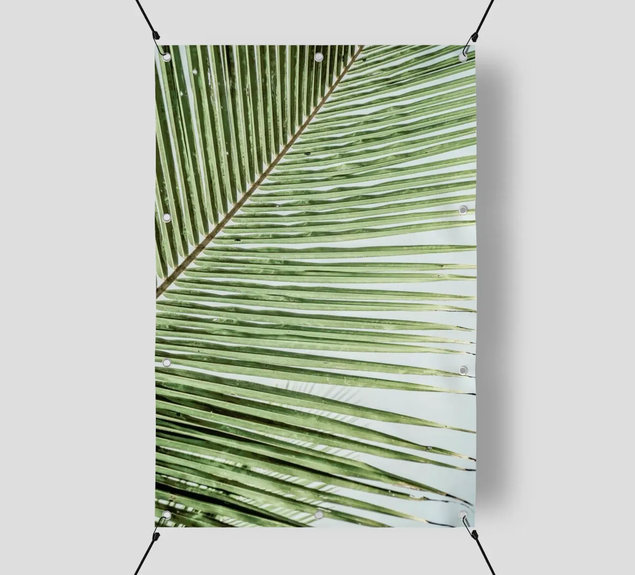 Zig Zag telo in pvc da Shot By Clint