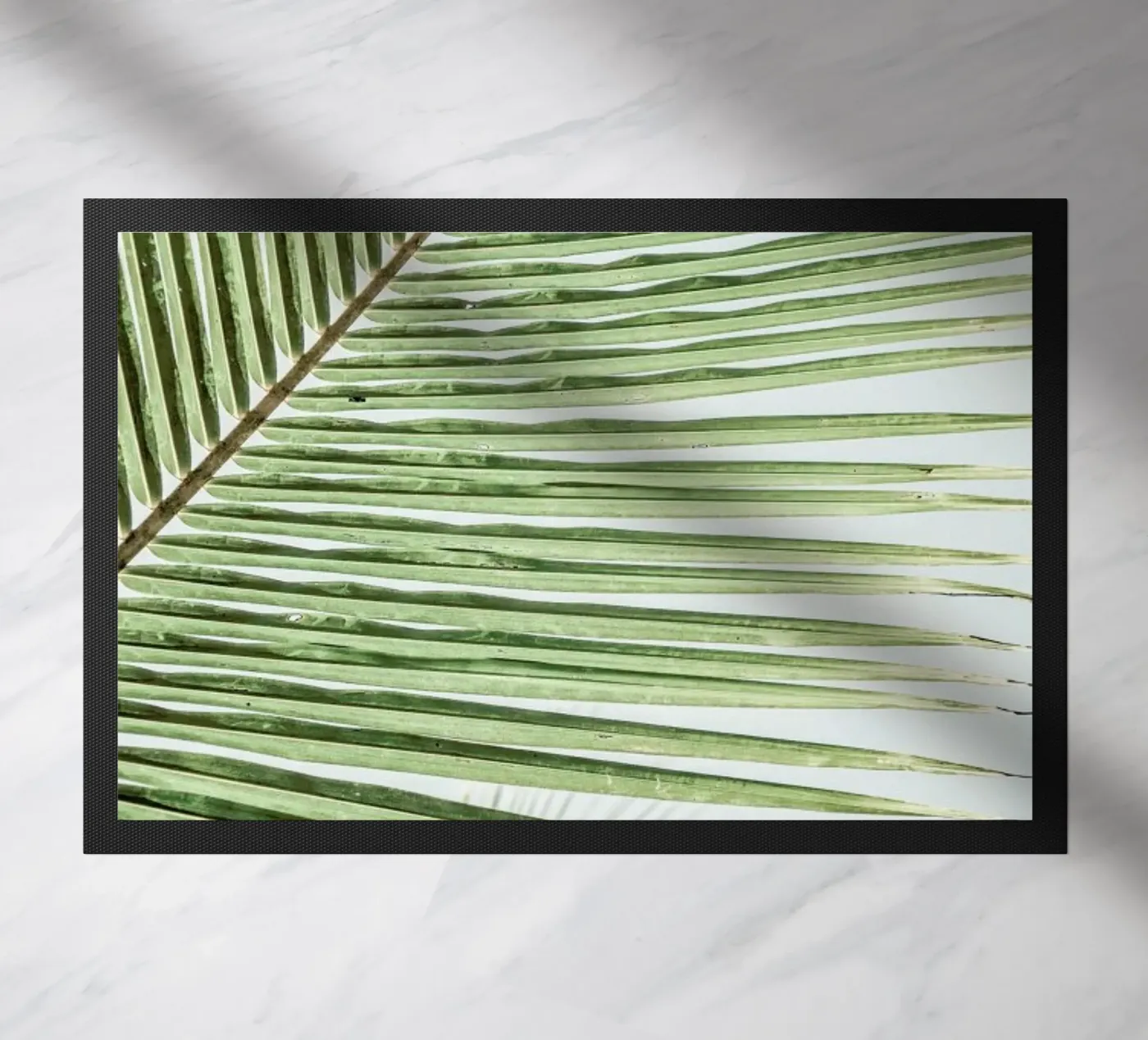 Zig Zag zerbino da Shot By Clint