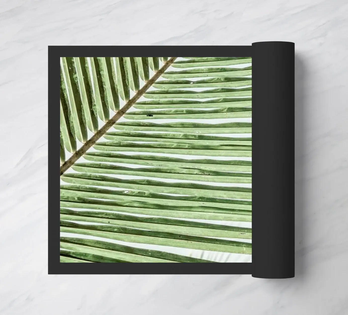 Zig Zag zerbino da Shot By Clint