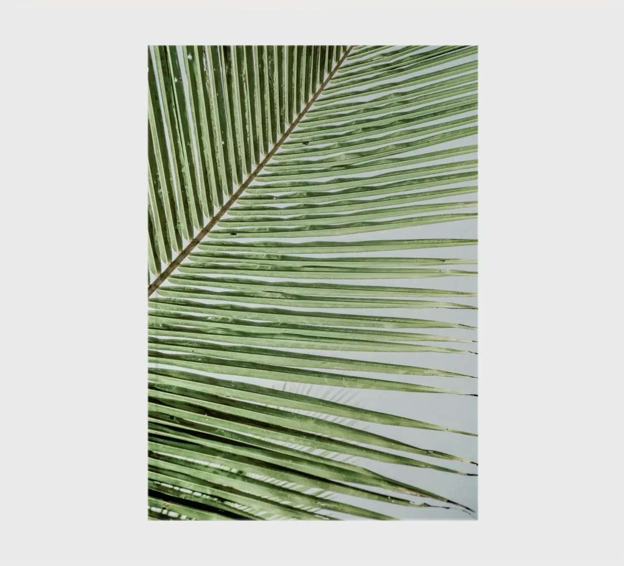 Zig Zag notebook by Shot By Clint