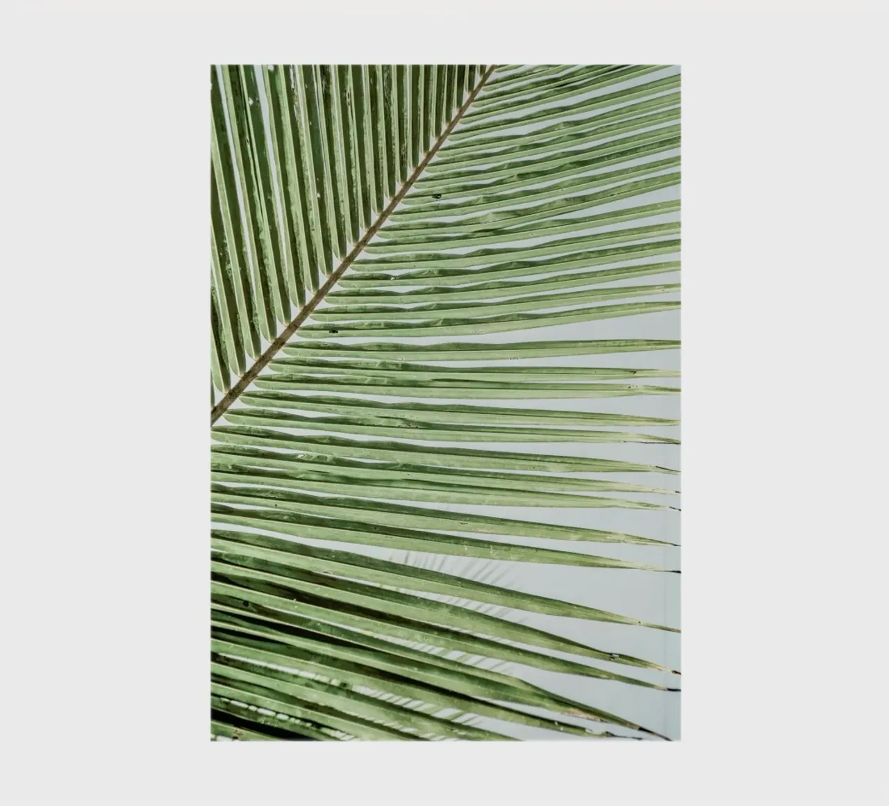 Zig Zag notebook by Shot By Clint