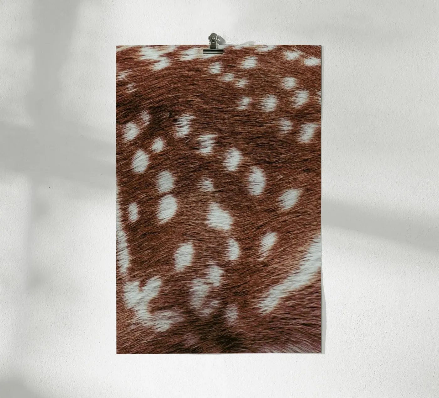 Deer Skin poster da Victoria Frost