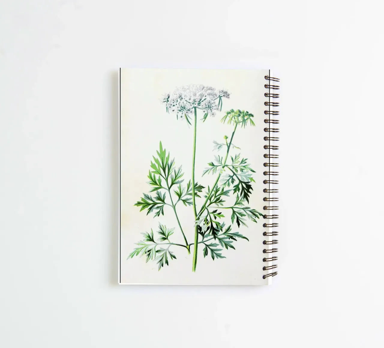 Parsley spiral notebook by Flora & Fauna