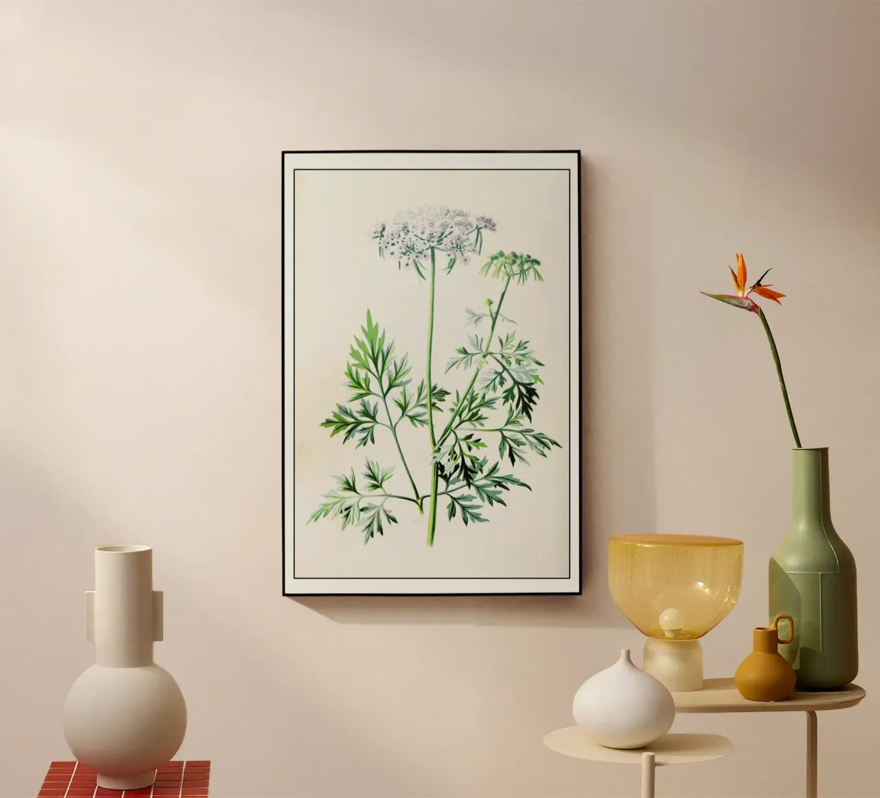 Parsley plexiglass da Flora & Fauna