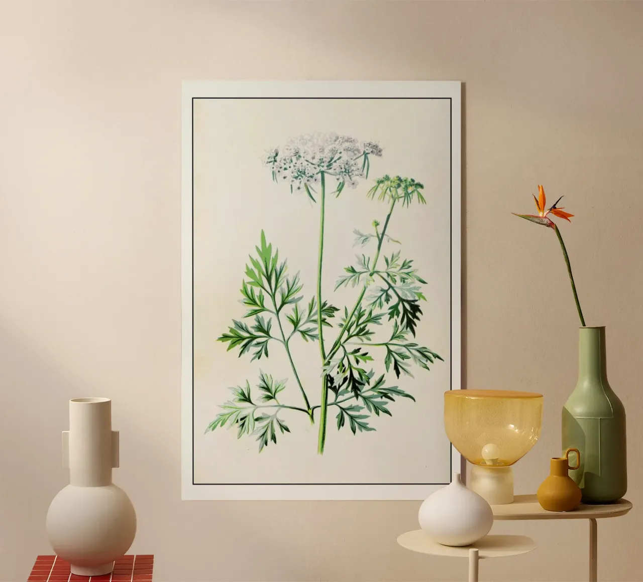 Parsley plexiglass da Flora & Fauna