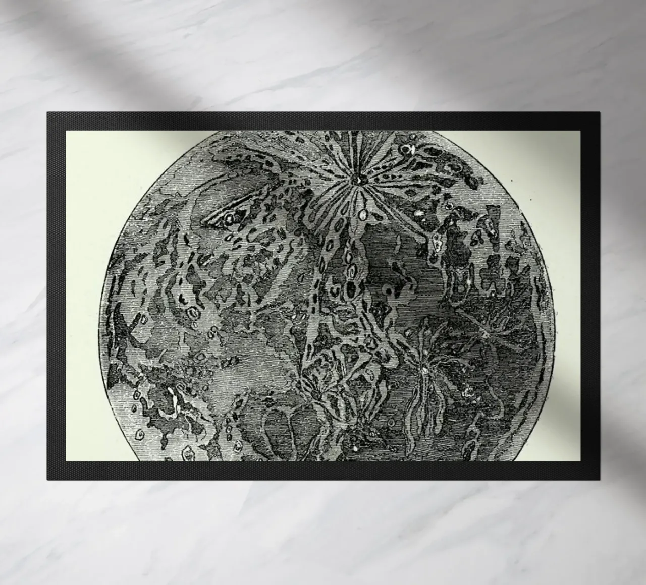 La Lune zerbino da Flora & Fauna