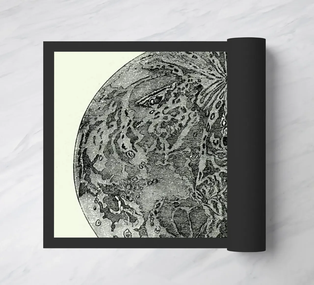 La Lune zerbino da Flora & Fauna