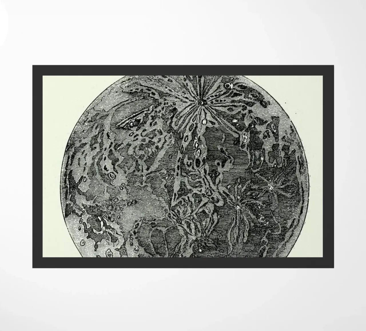 La Lune zerbino da Flora & Fauna