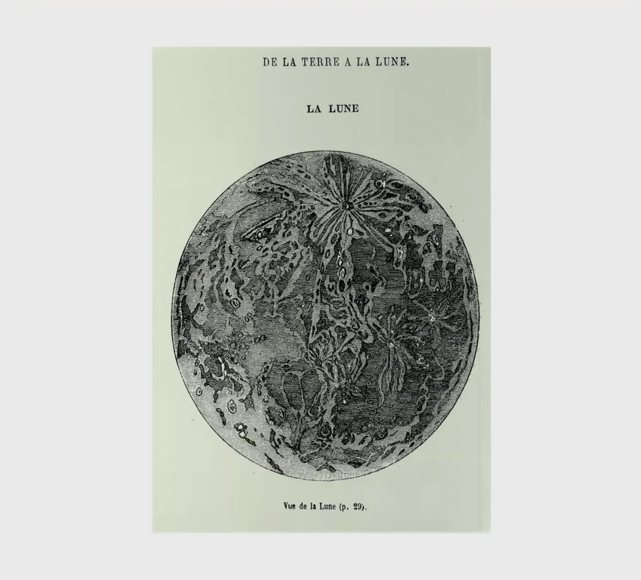 La Lune notebook by Flora & Fauna