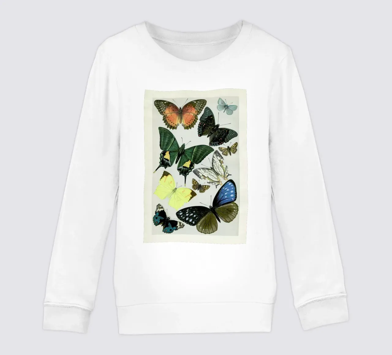 Butterflies felpa bambino da Flora & Fauna