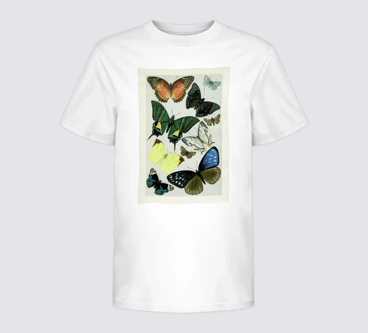 Butterflies t-shirt enfant de Flora & Fauna