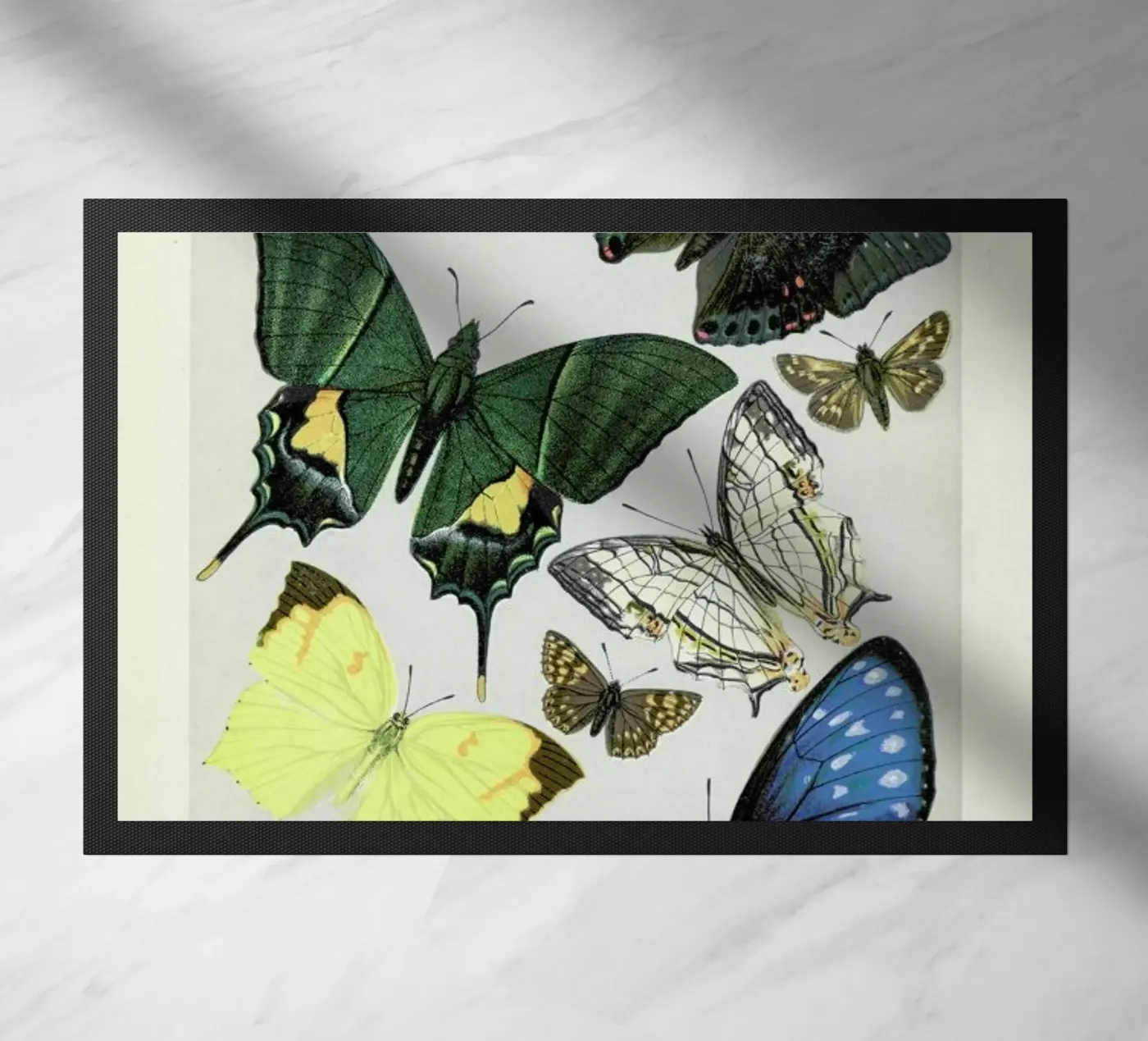 Butterflies zerbino da Flora & Fauna