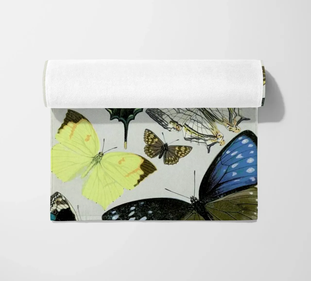 Butterflies telo mare da Flora & Fauna