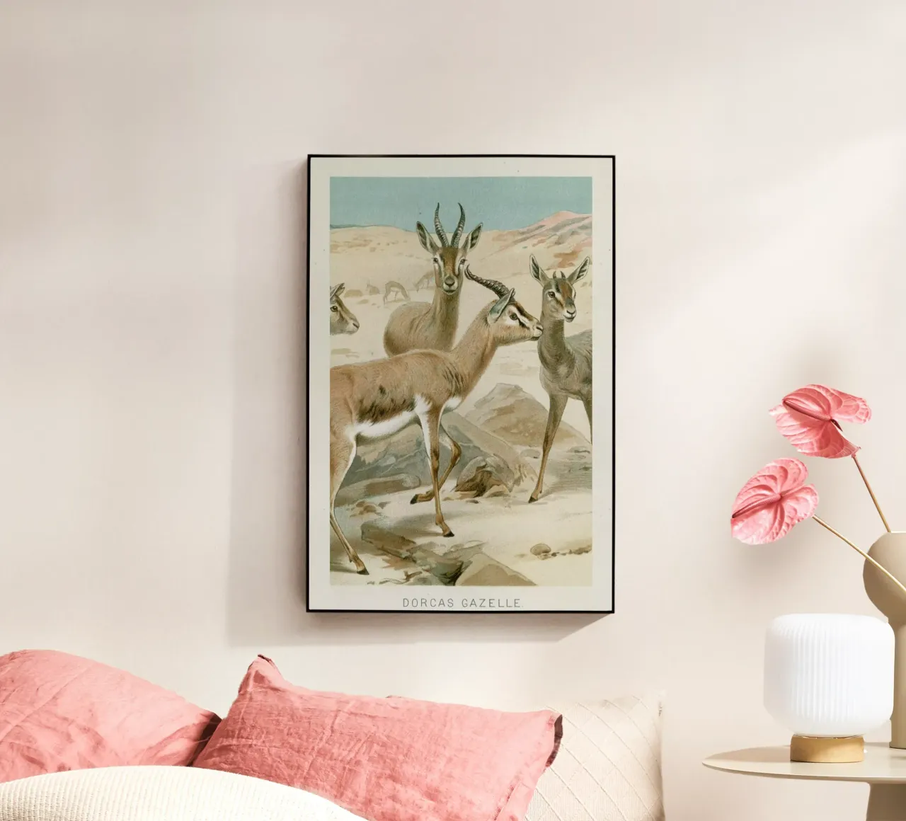 Gazelles plexiglass da Flora & Fauna