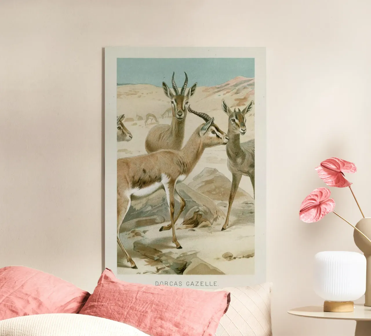 Gazelles plexiglass da Flora & Fauna