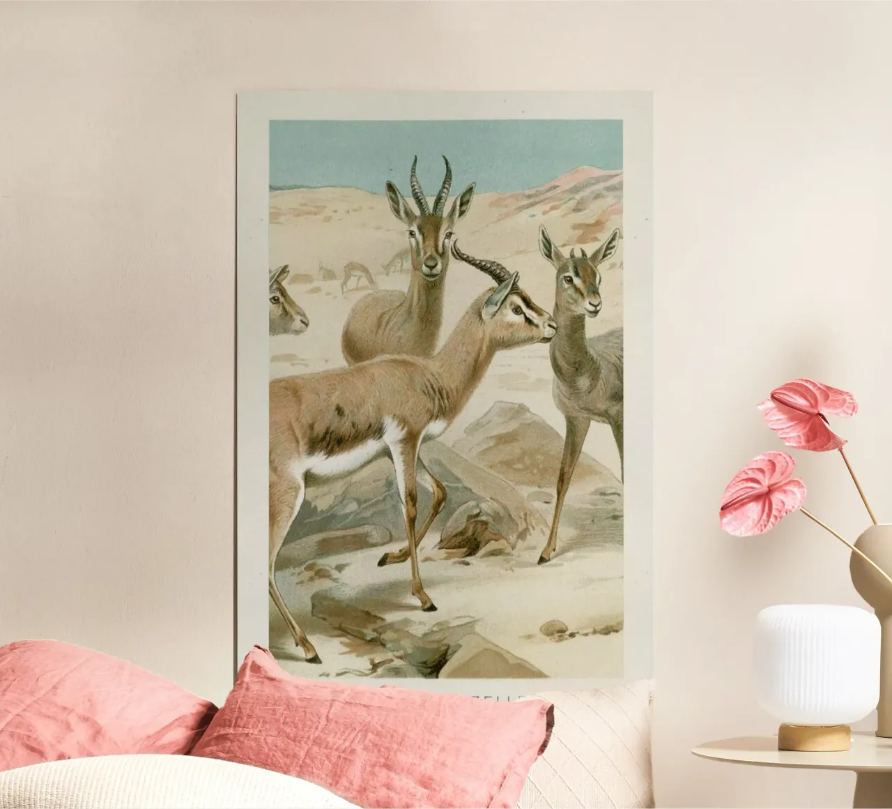 Gazelles poster con telaio in plastica da Flora & Fauna
