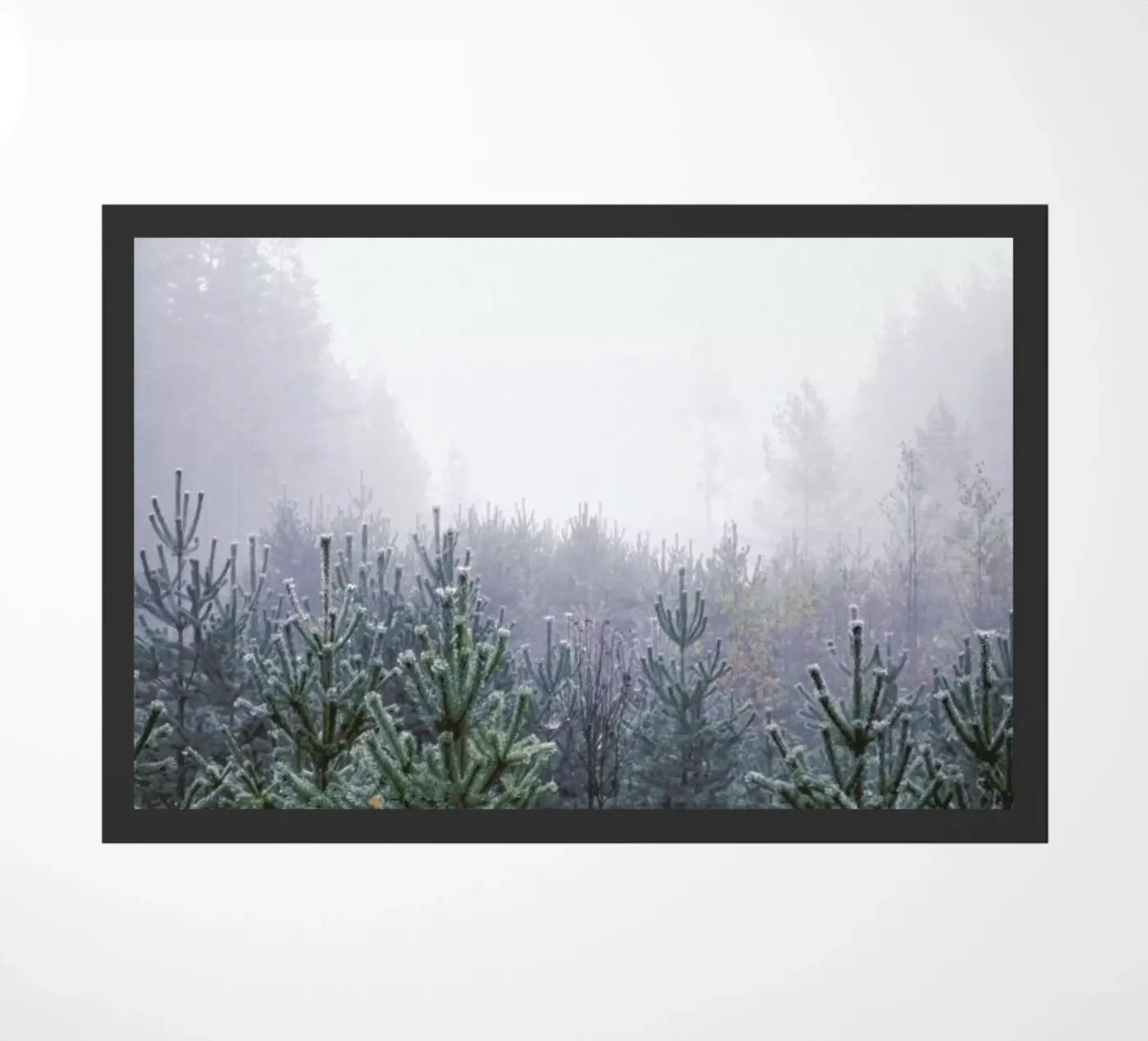 Misty Forest zerbino da In Full Color