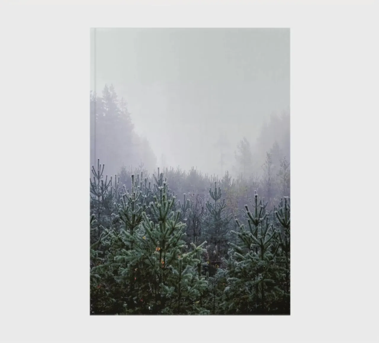 Misty Forest notebook by In Full Color