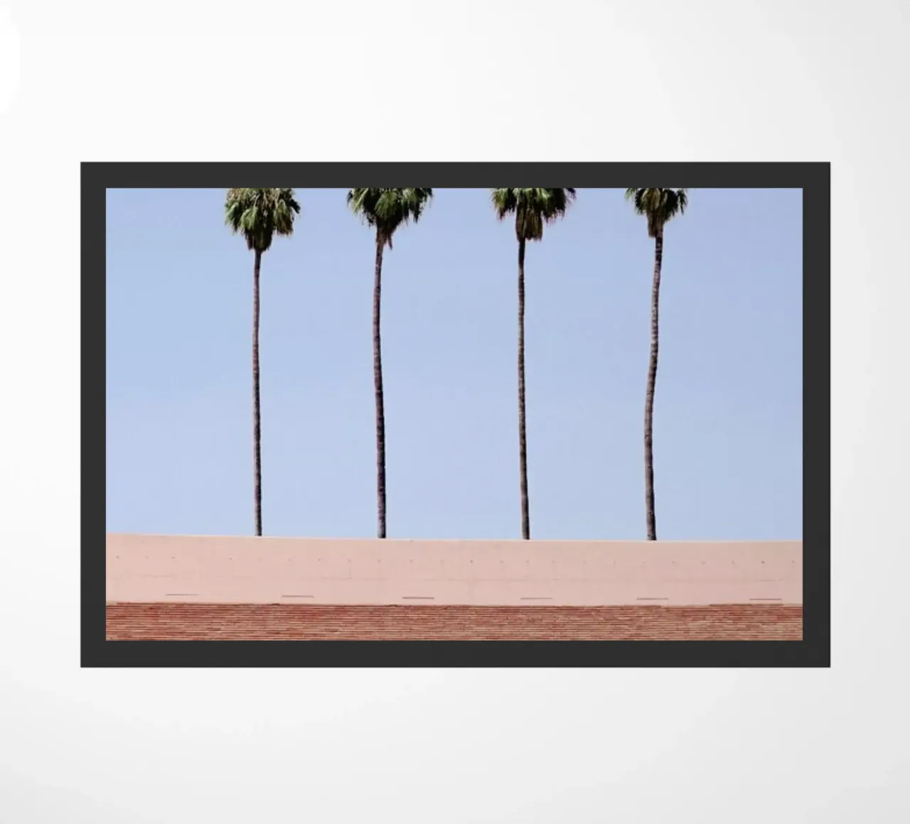 Palm Tree Factory zerbino da Rupert Höller