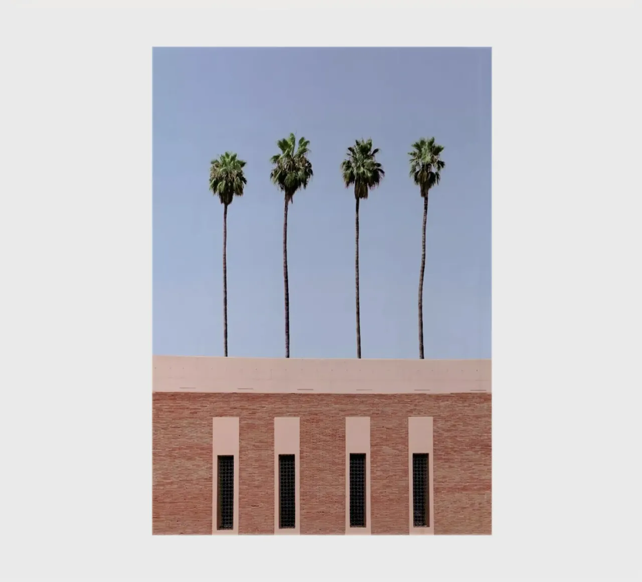 Palm Tree Factory diario da Rupert Höller