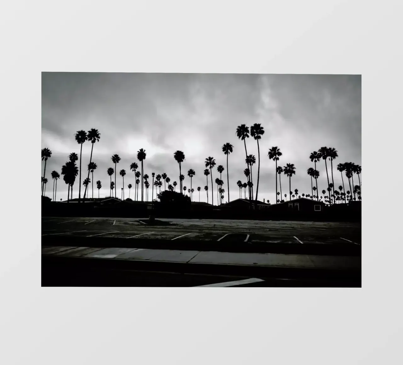 Palmtree Takeover telo in pvc da In Full Color