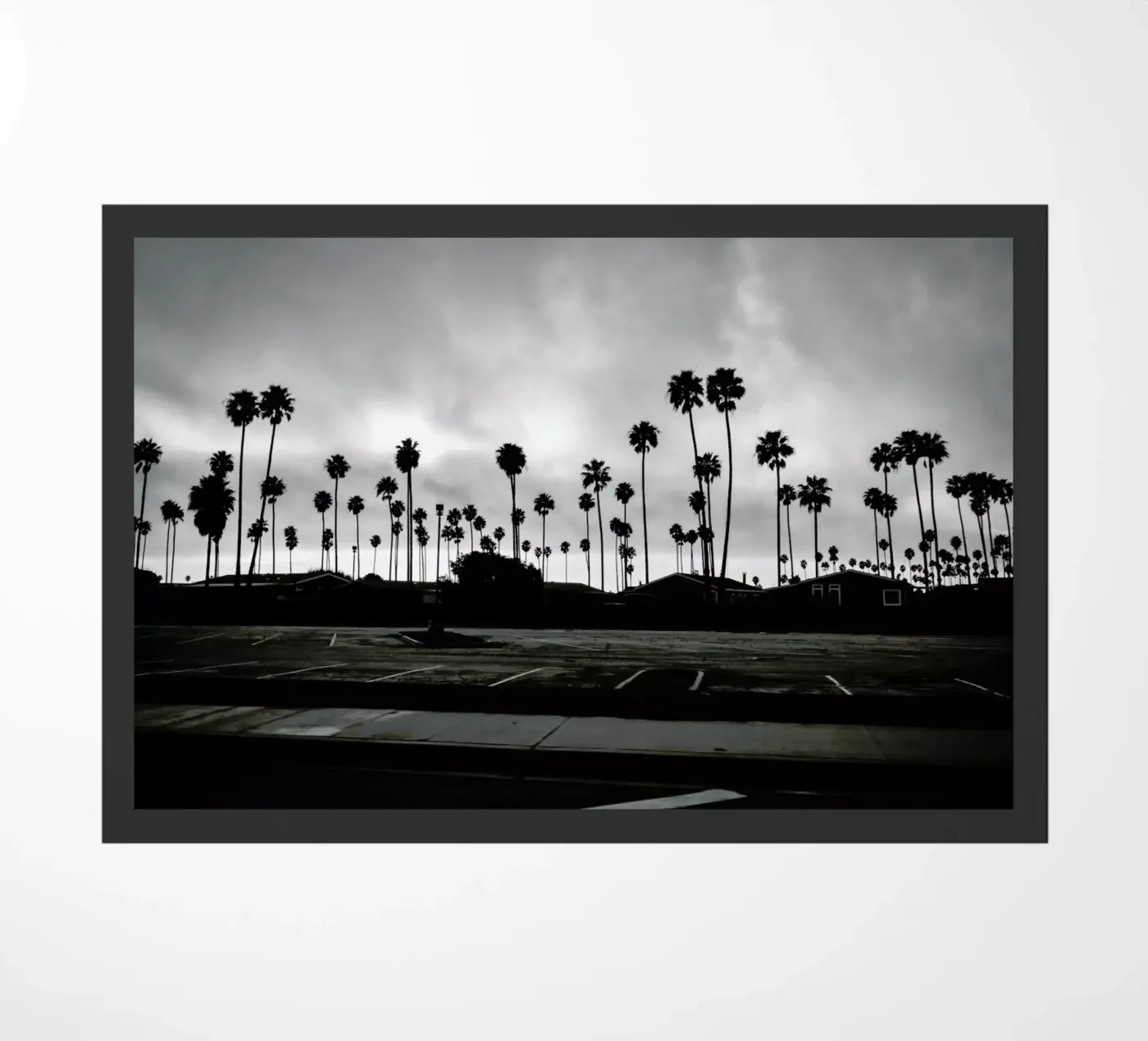 Palmtree Takeover zerbino da In Full Color