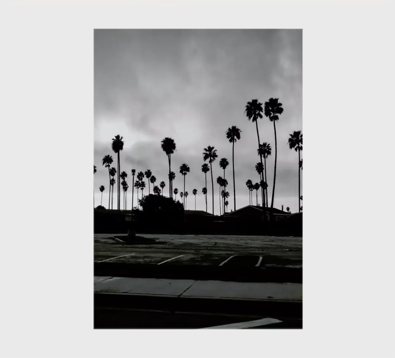 Palmtree Takeover notebook by In Full Color