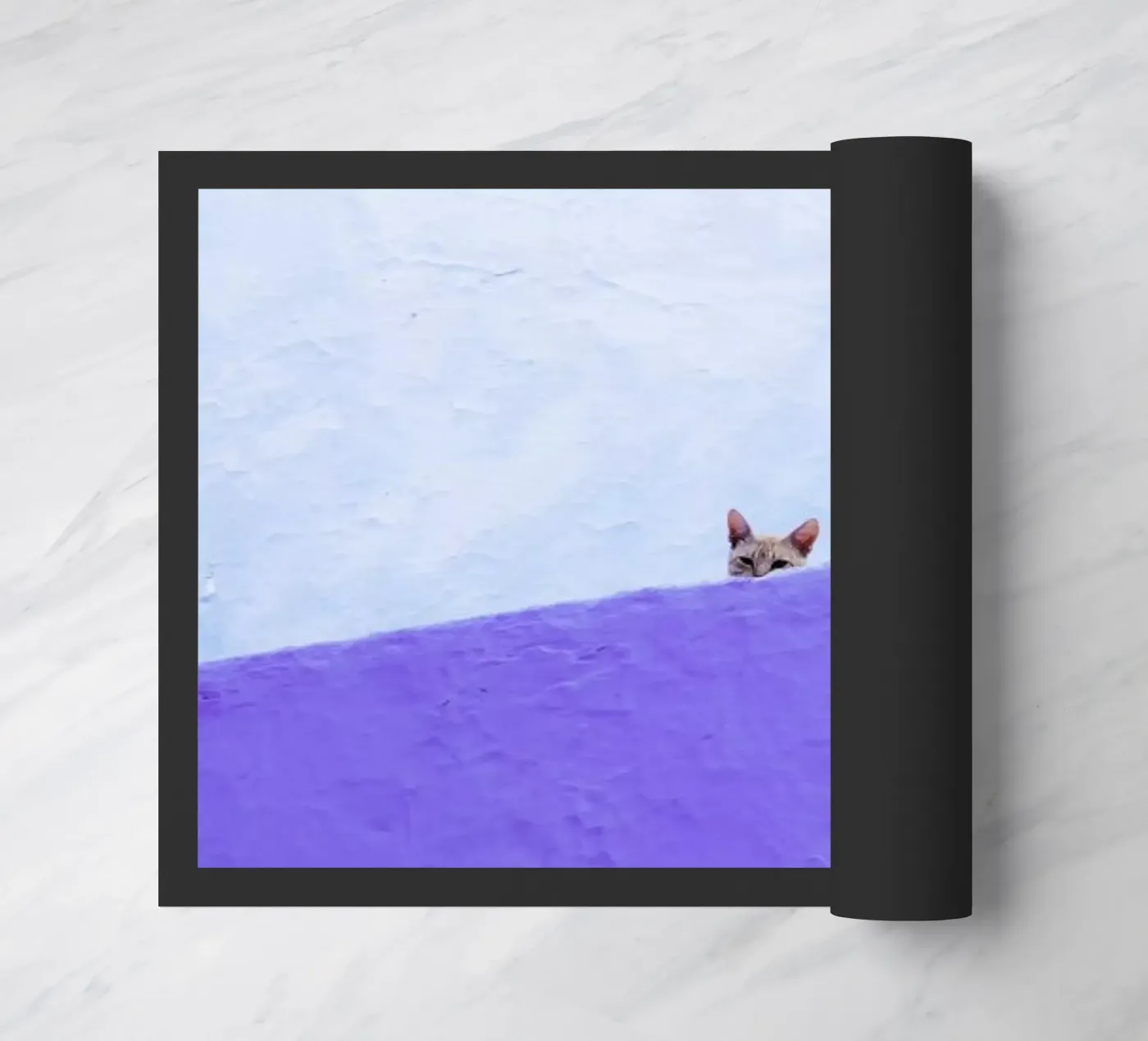 Spy Cat deurmat van Rupert Höller