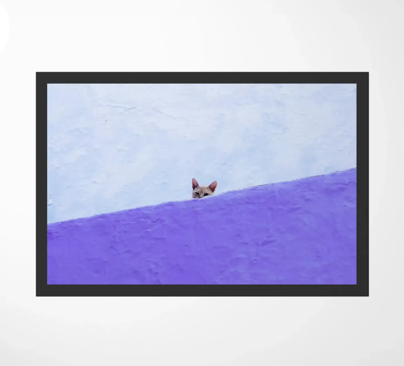 Spy Cat deurmat van Rupert Höller