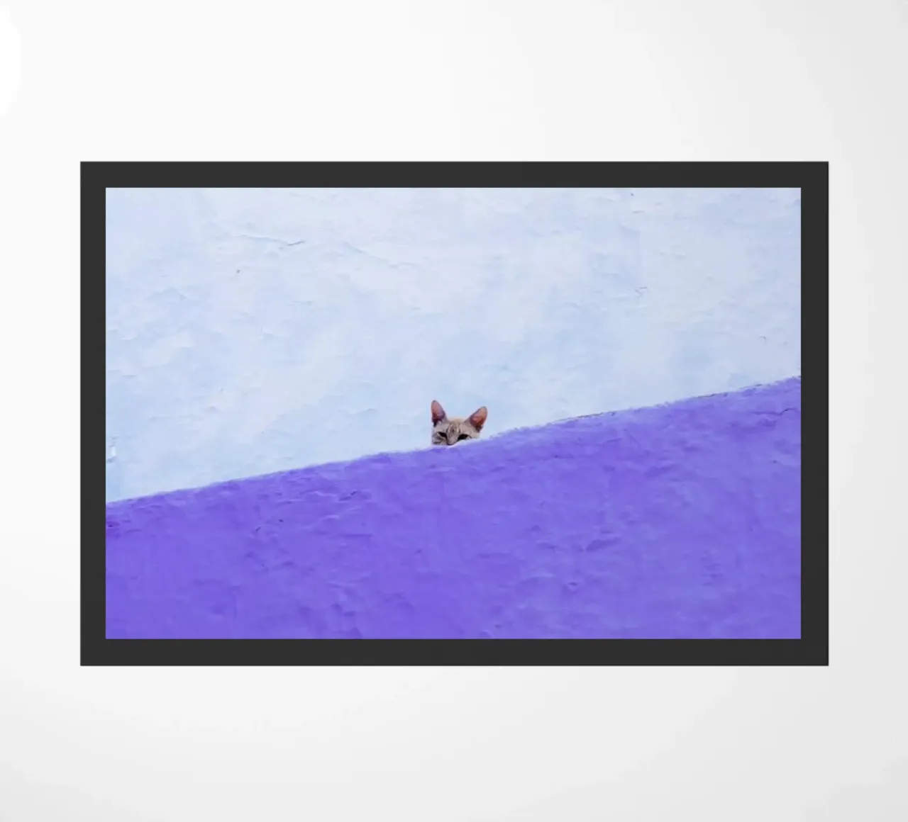 Spy Cat zerbino da Rupert Höller