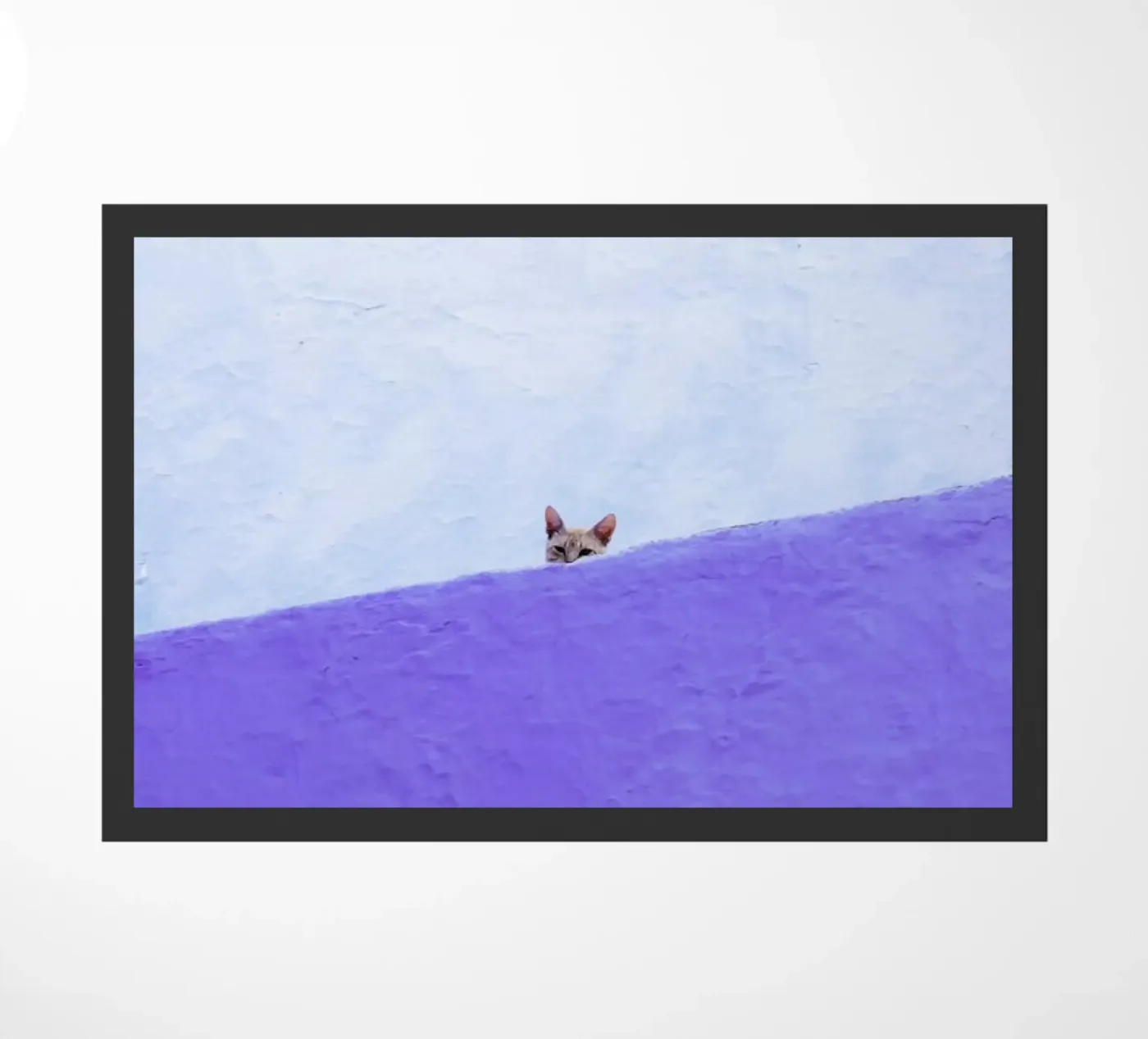 Spy Cat zerbino da Rupert Höller