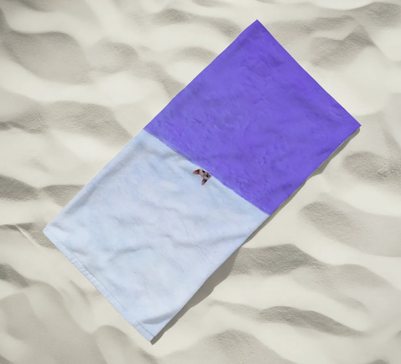 Spy Cat telo mare da Rupert Höller