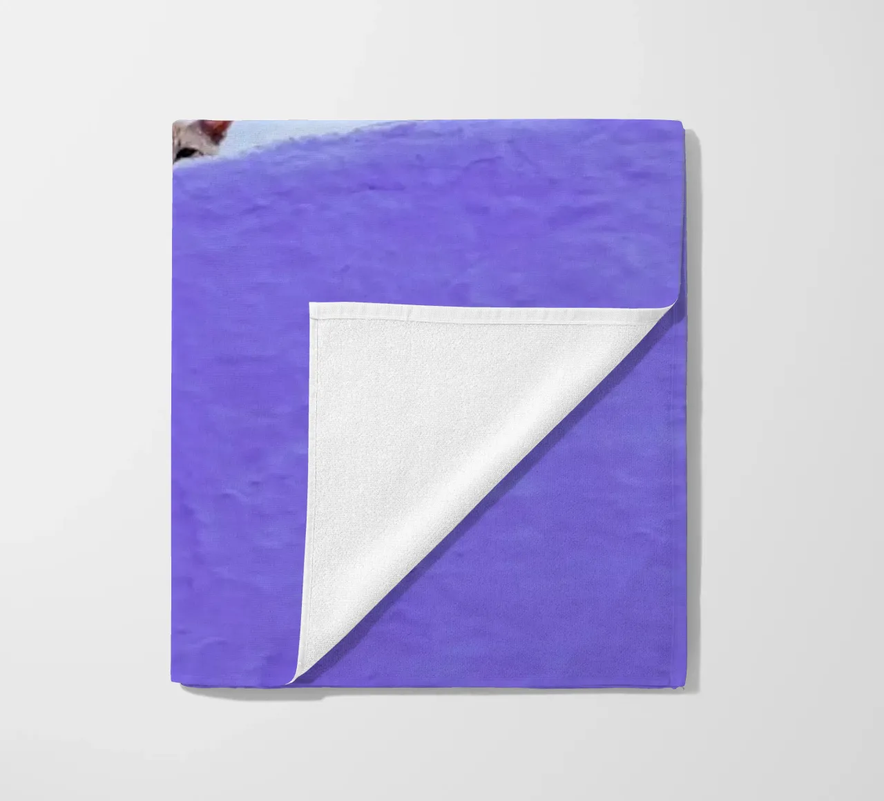 Spy Cat telo mare da Rupert Höller