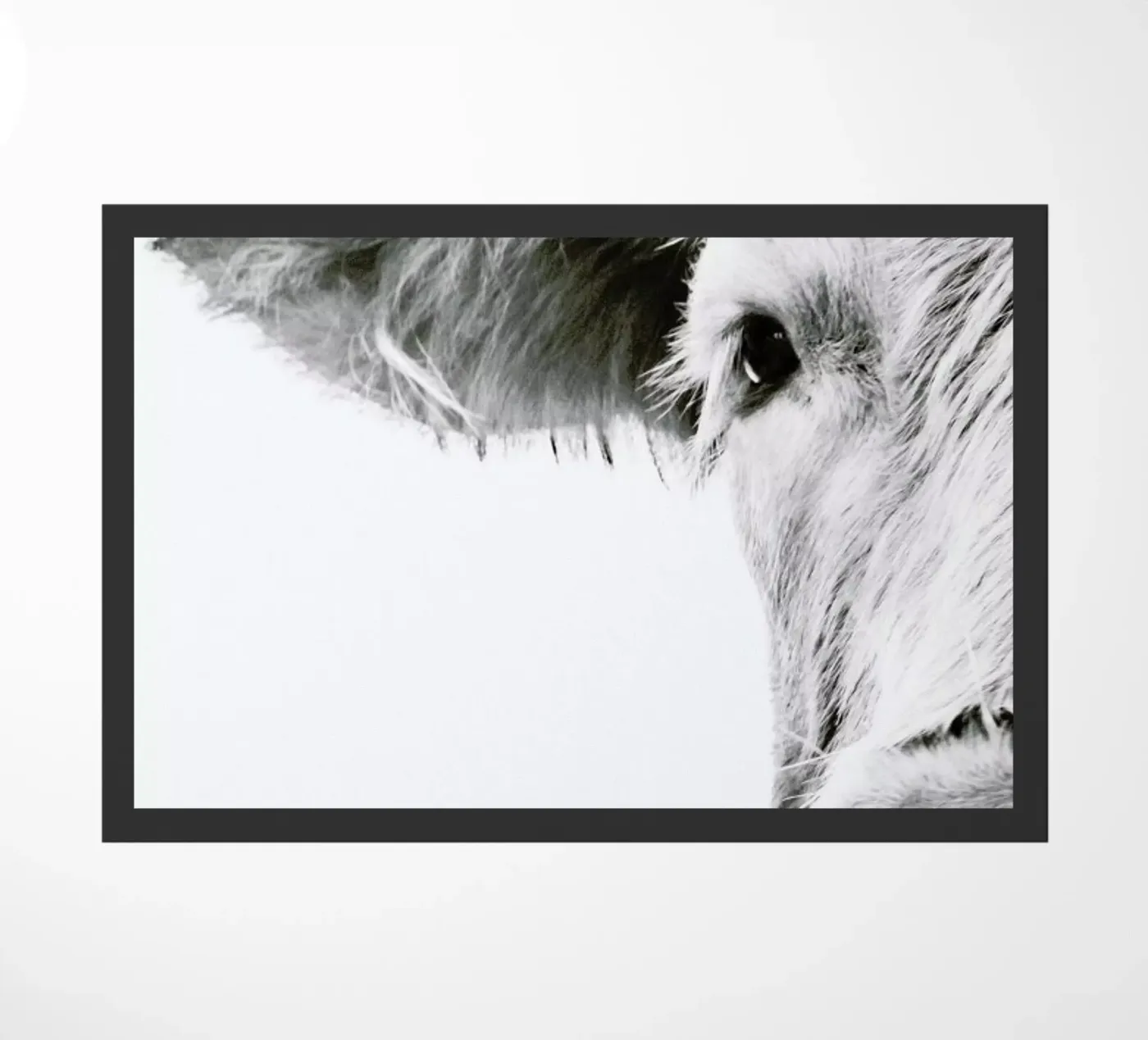 Highlander I zerbino da Victoria Frost