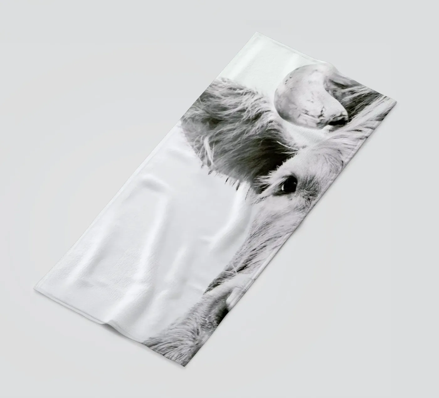 Highlander I telo mare da Victoria Frost