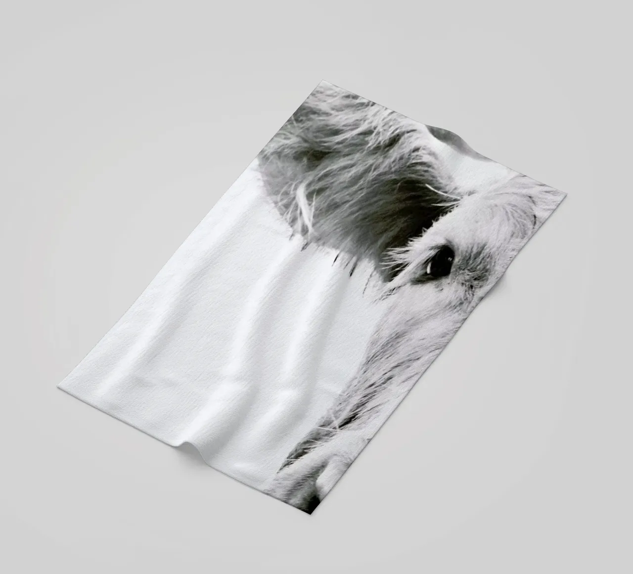 Highlander I telo mare da Victoria Frost