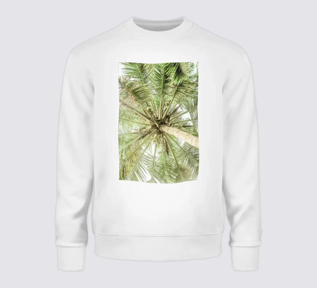 Coco sweatshirt by Shot By Clint